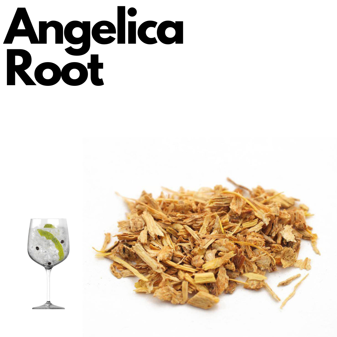 angelica-root-50g-beerlab-home-brew-supplies