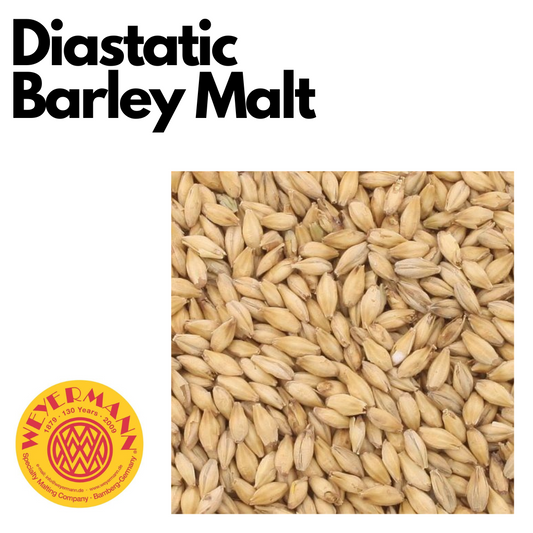 Diastatic Barley Malt