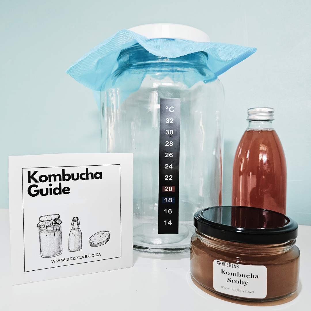 Kombucha Kit