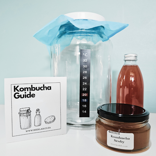 Kombucha Kit