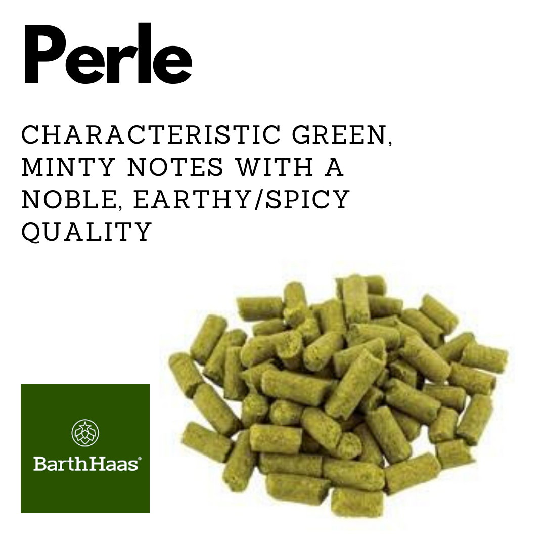 Perle Hops Bulk 500g