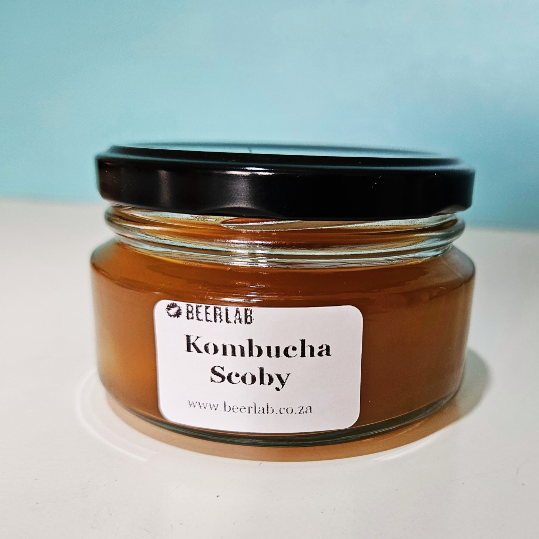 Kombucha Scoby