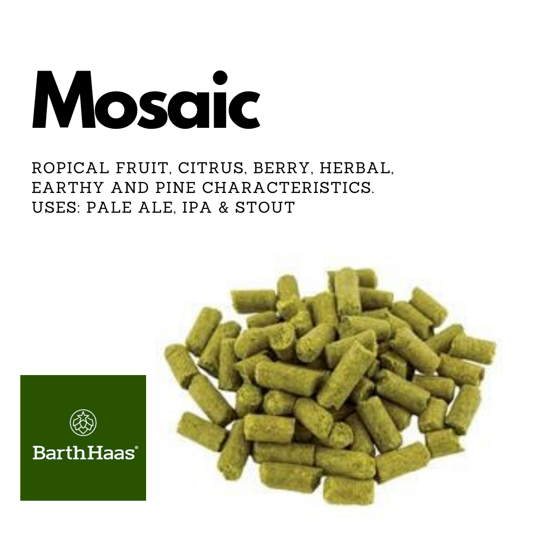 Mosaic Hops Bulk 500g