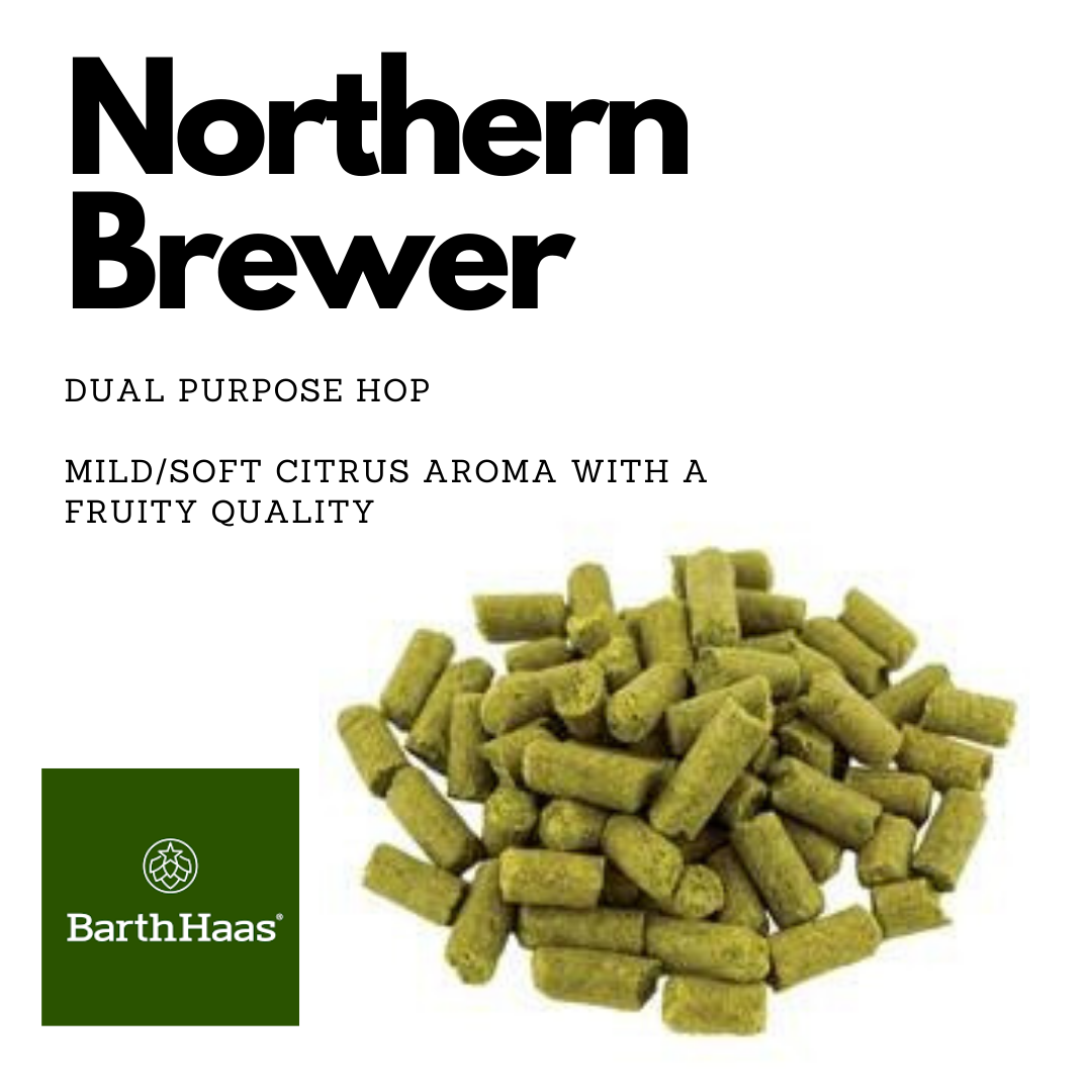 Northern Brewer